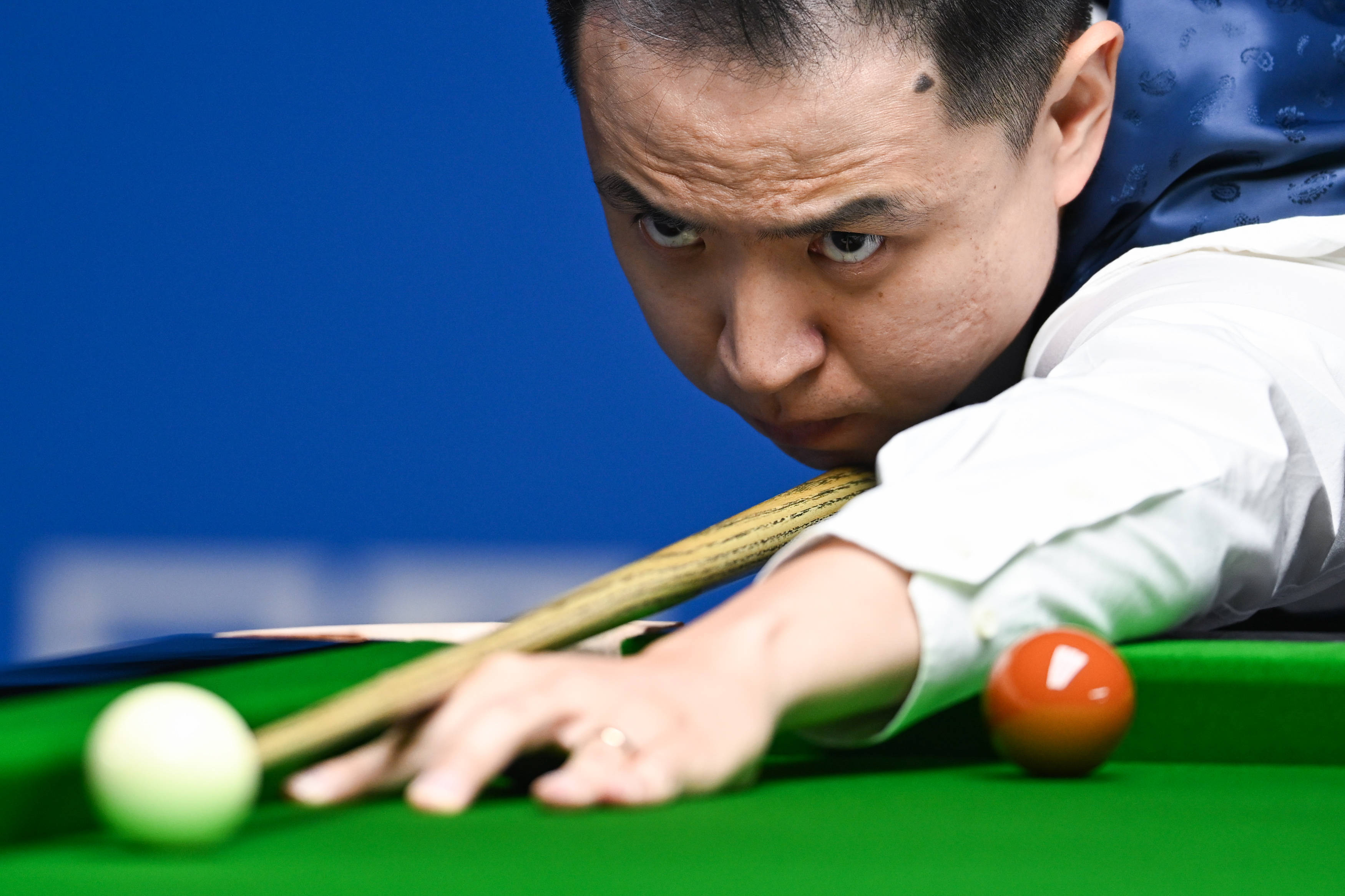 国内一家动 国内一家动